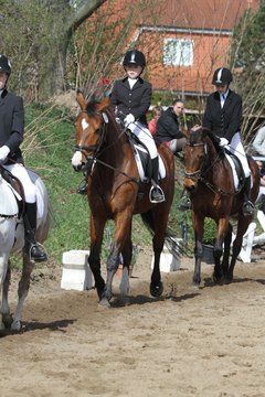 Bild 860 - WBO-Turnier am 9.4.11